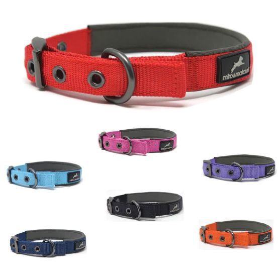 Miro &amp; Makauri Oxbow Metal Buckle Dog Collar - 2cm x 50-55cm