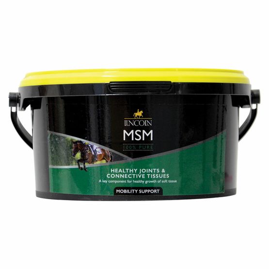 Lincoln MSM Refill Pouch