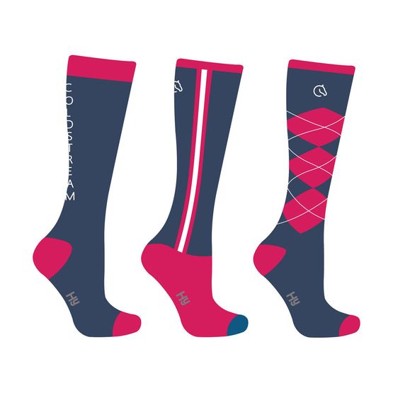 Coldstream Cornhill Socks (Pack of 3) Mykonos Blue/Raspberry