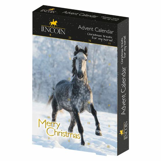 Lincoln Snowman Advent Calendar