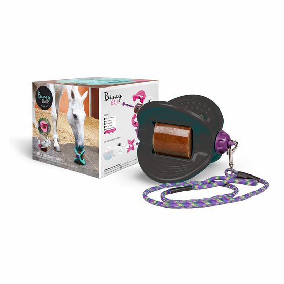 BIZZY HORSE BIZZY BALL
