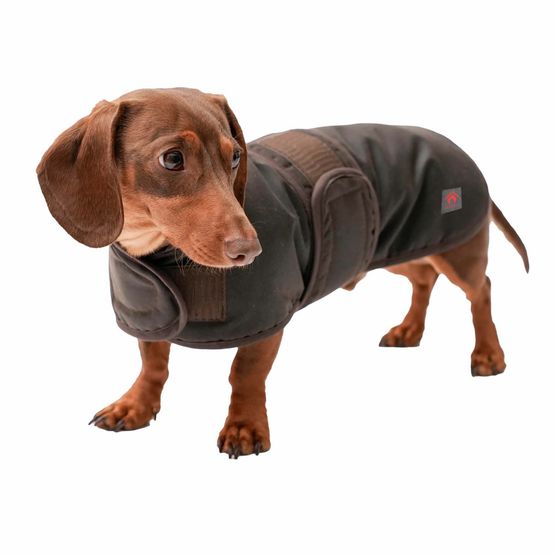 FIREFOOT WAXED DACHSHUND COAT