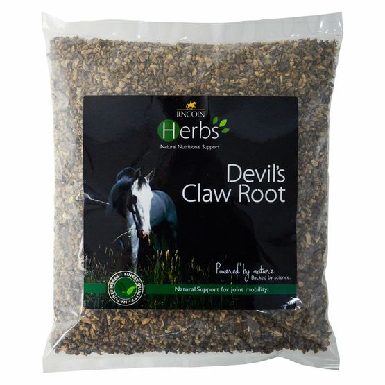 Lincoln Herbs Devil's Claw Root Refill Pouch