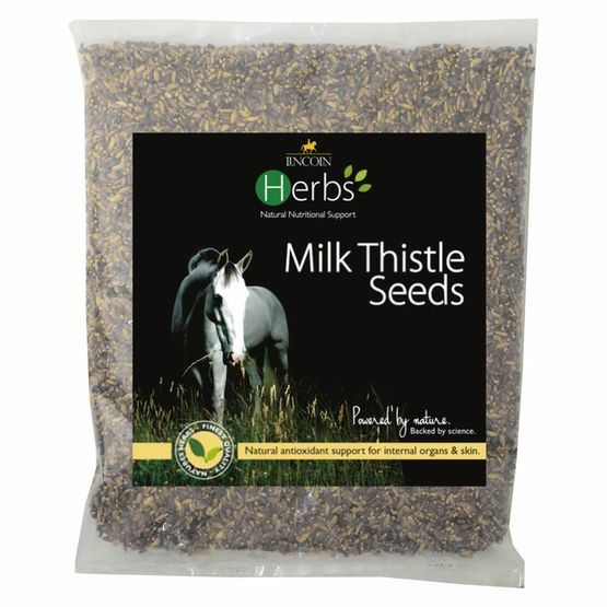 Lincoln Herbs Milk Thistle Seeds Refill Pouch