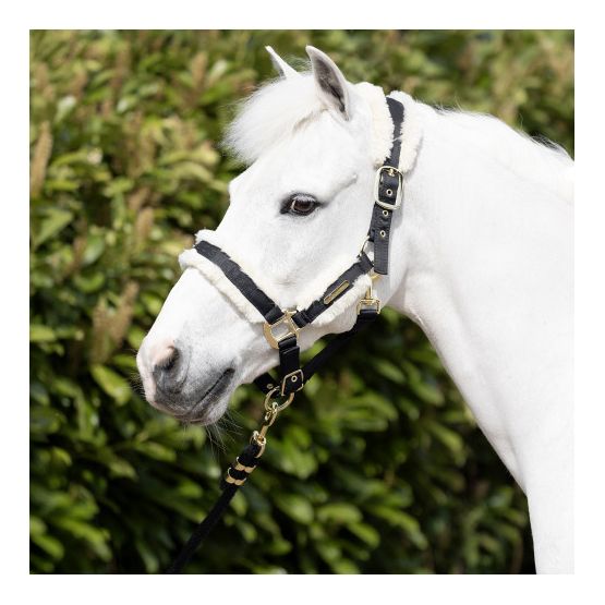 Coldstream Langlee Luxury Head Collar &amp; Lead Rope