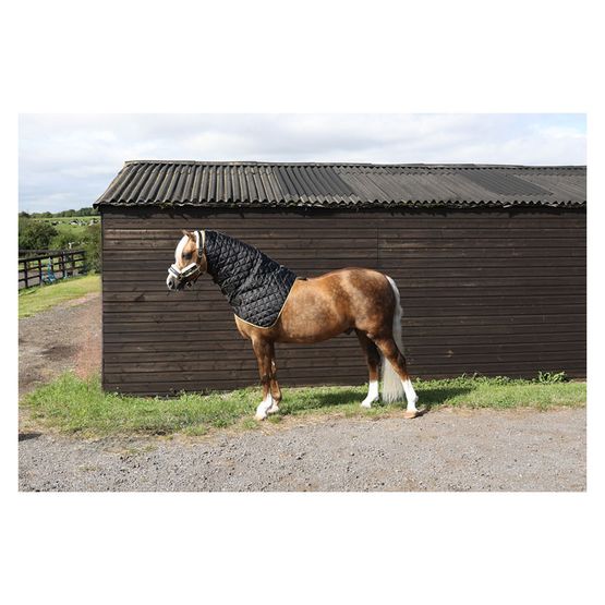 Supreme Products Show Quilted Hood