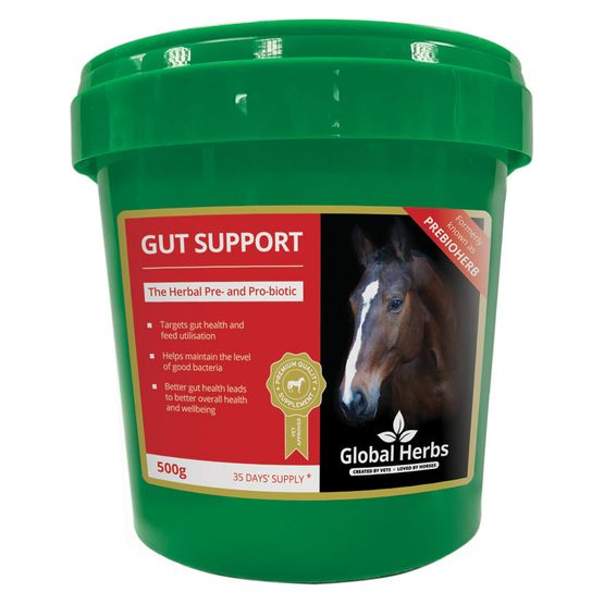 Global Herbs Gut Support