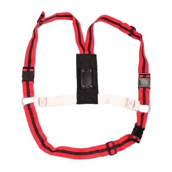 Agrimark Deluxe Anti-Chaffe Ram Harness