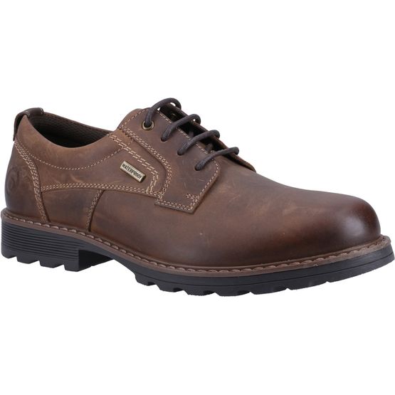 Tadwick Shoes Tan