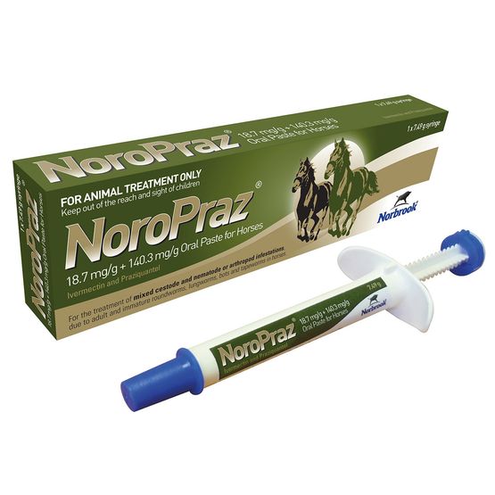 NOROPRAZ ORAL PASTE FOR HORSES