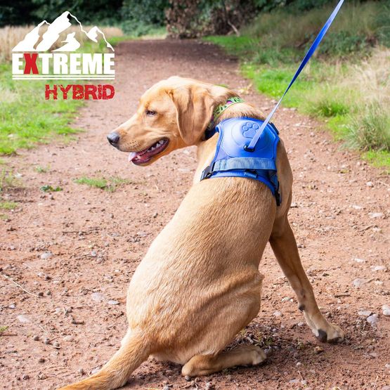 ANCOL EXTREME HYBRID HARNESS AQUA BLUE