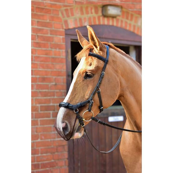 EQUILIBRIUM NET RELIEF ANATONIMUZZLE NET