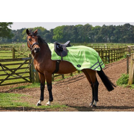 FIREFOOT REFLECTIVE EXERCISE SHEET