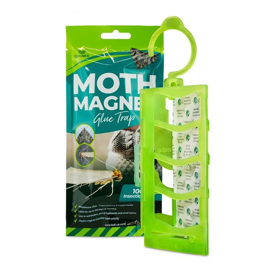 LODI ORGAN-X MOTH MAGNET GLUE TRAP
