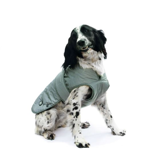 ANCOL STORMGUARD ULTIMATE DOG COAT REFLECTIVE GREY