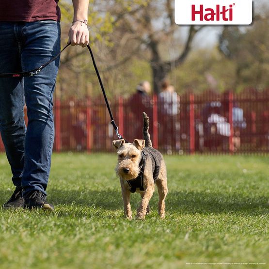 HALTI NO PULL HARNESS BLACK