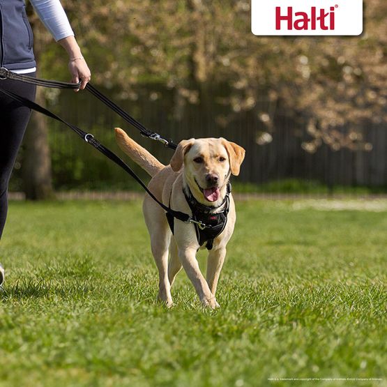 HALTI TRAINING LEAD BLACK