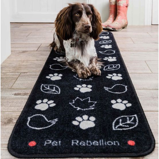 Pet Rebellion Black Country Dog Runner