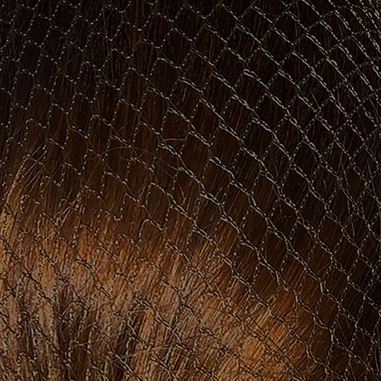 HARPLEY EQUESTRIAN HAIRNETS STANDARD