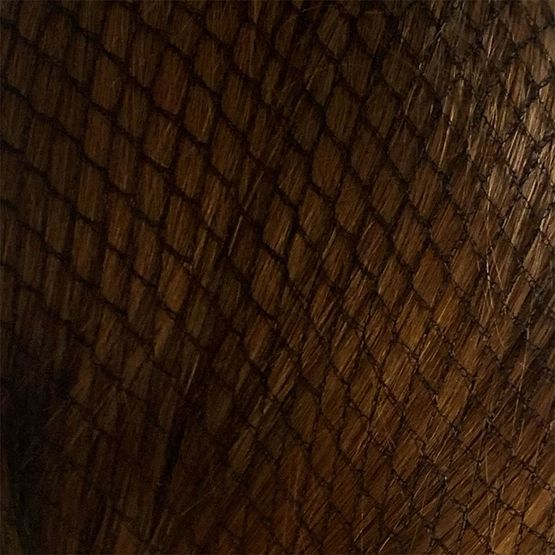 HARPLEY EQUESTRIAN HAIRNETS STANDARD