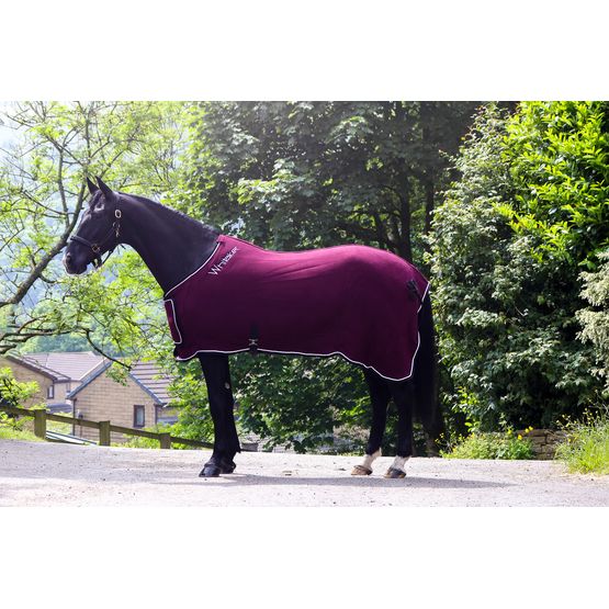 WHITAKER R160 CLUB SHOW RUG BURGUNDY