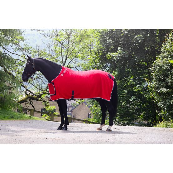 WHITAKER R160 CLUB SHOW RUG RED