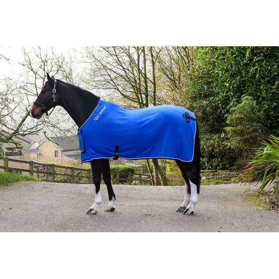 WHITAKER R160 CLUB SHOW RUG ROYAL