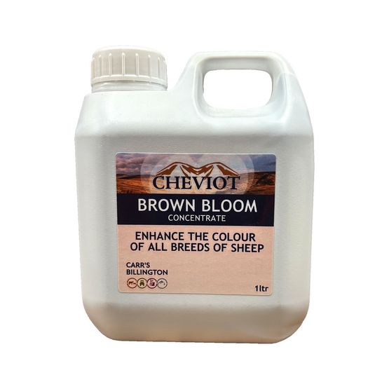 CHEVIOT BROWN BLOOM CONCENTRATE