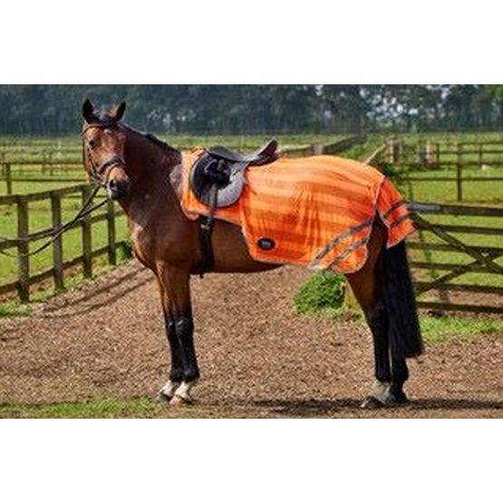 FIREFOOT REFLECTIVE EXERCISE SHEET