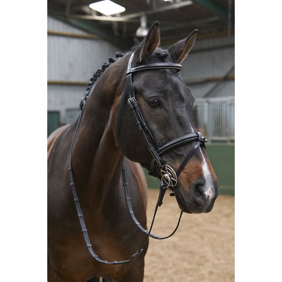 Whitaker Br051a Eastwood Raised Flash Bridle with Reins Black