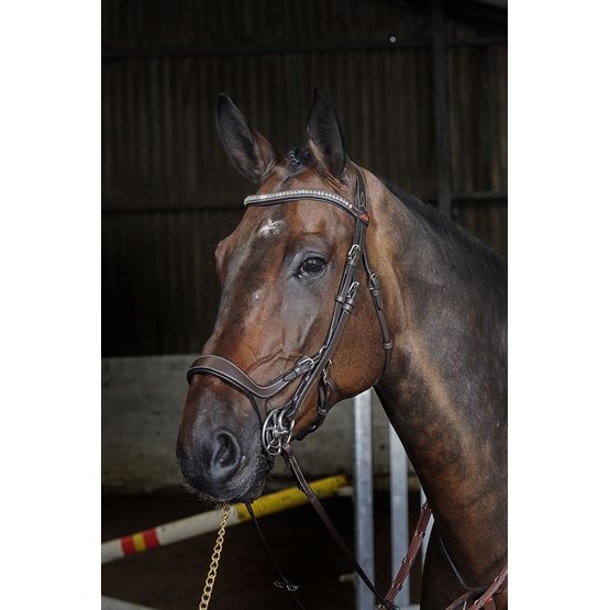 Whitaker Br070 Chicago Anatomic Bridle with Reins Havana Light Havana