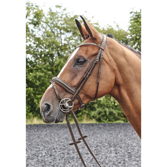 Whitaker Br078 Barton Bling Flash Bridle Havana