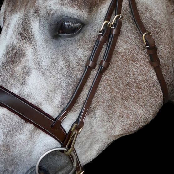 Whitaker Br102 Rome Bridle with Reins Havana