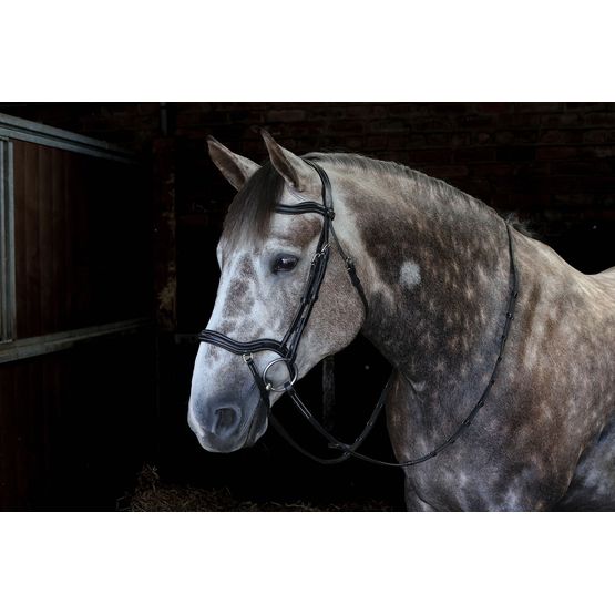 Whitaker Br103 Stockholm Anatomic Bridle Black