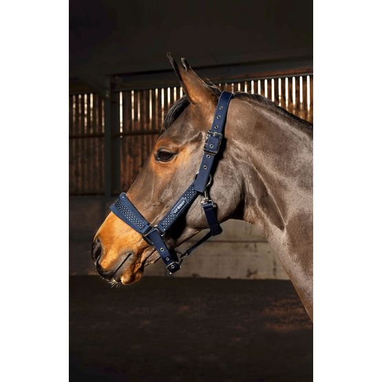 Whitaker Hc061 San Francisco Headcollar Navy