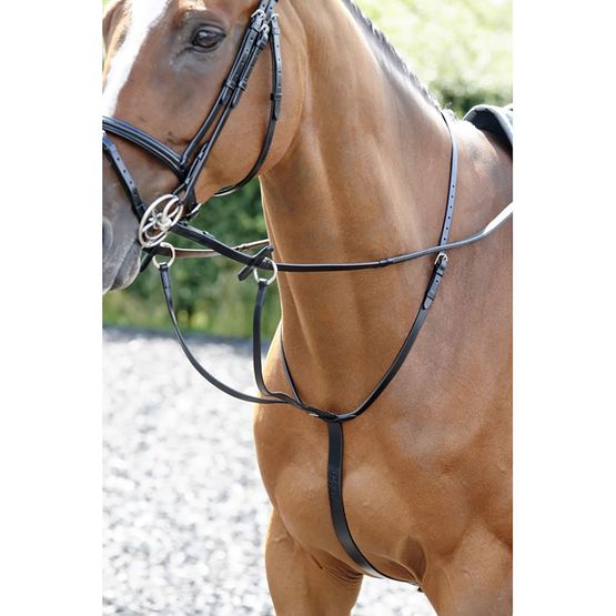 Whitaker Ma077 Barton Martingale Black