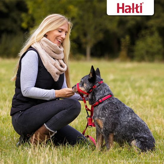 Halti Headcollar Red