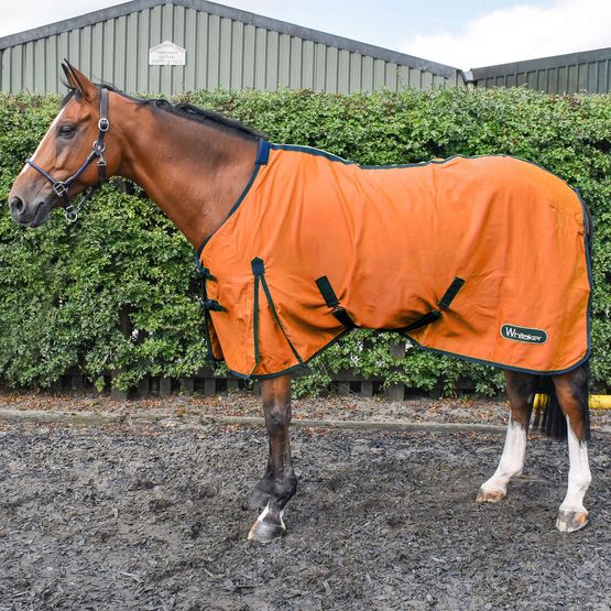 Whitaker R370 Allerton Multi-Function Cotton Sheet Tangerine