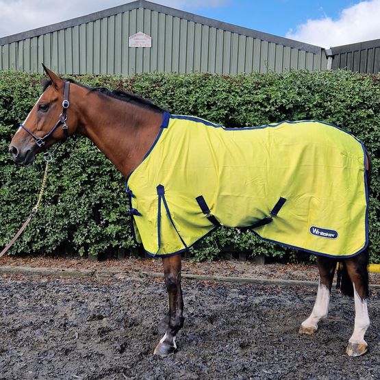 Whitaker R370 Allerton Multi-Function Cotton Sheet Yellow