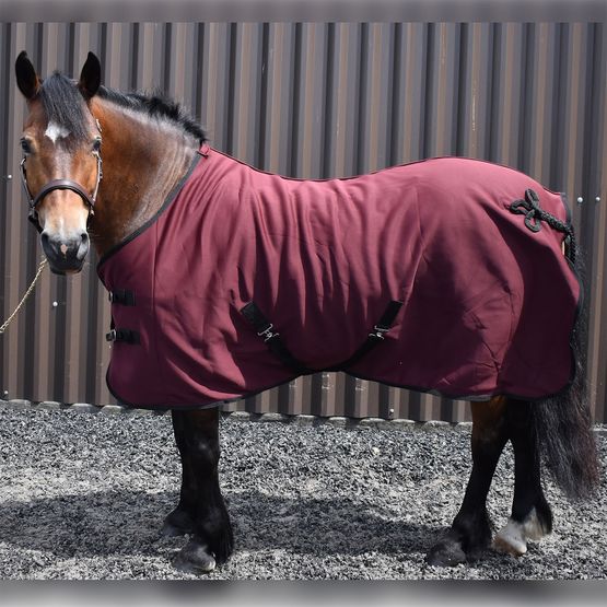 Whitaker R373 Bilbao Bonded Fleece Rug Burgundy/Beige Burgundy/Beig