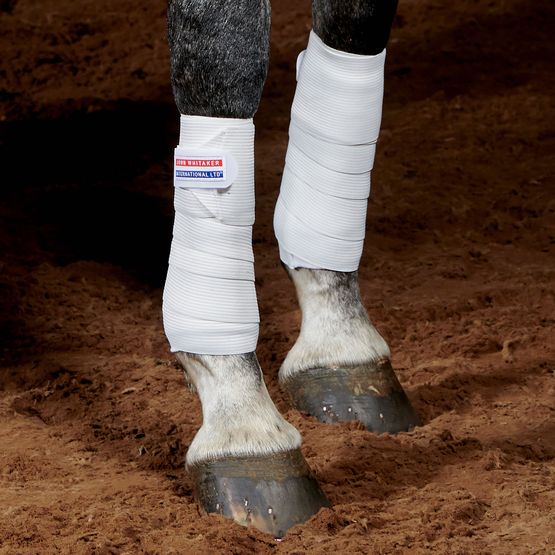 Whitaker Tb4 Training Bandages White
