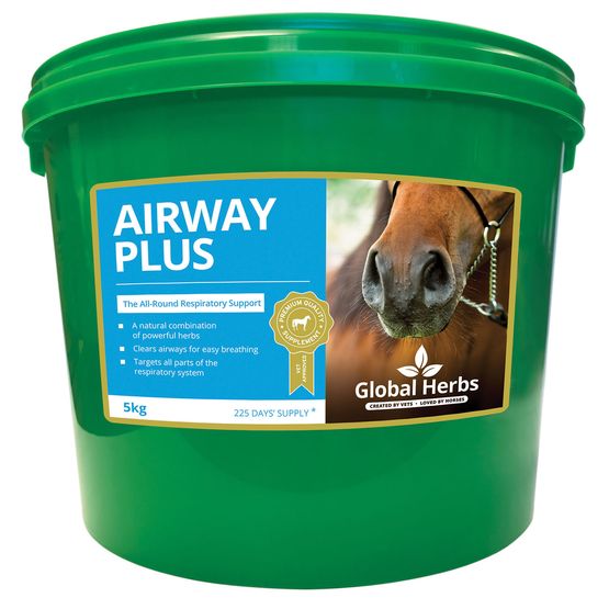 Global Herbs Airway Plus Powder