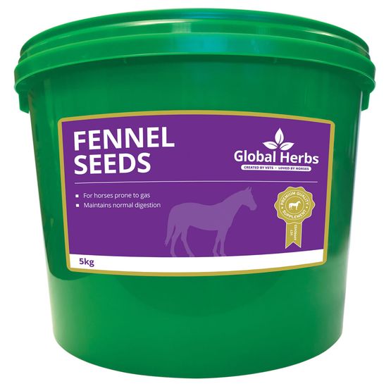 Global Herbs Fennel Seeds