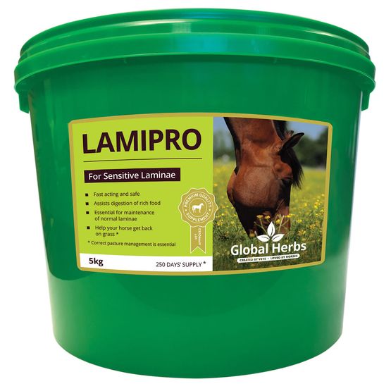 Global Herbs Lamipro Powder
