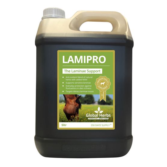 Global Herbs Lamipro Supplement