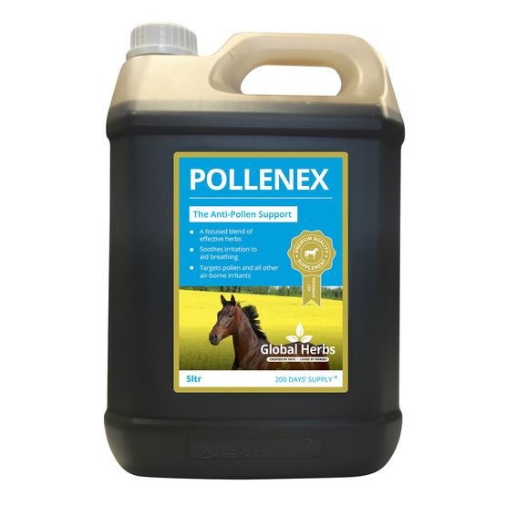 Global Herbs Pollenex Liquid