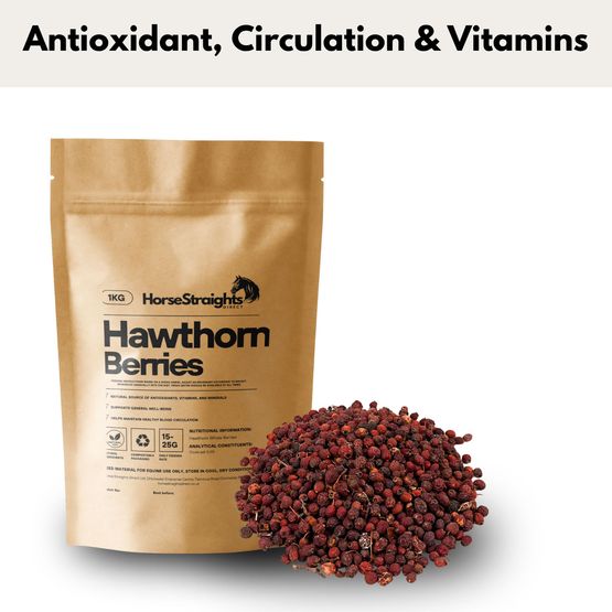 Horse Straights Direct Hawthorn Whole Berries