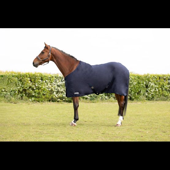 StormX Empra Pima Cotton Sheet