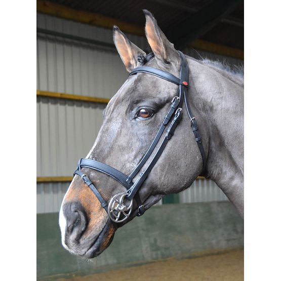Whitaker Br056 Ready To Ride Snaffle Bridle Black