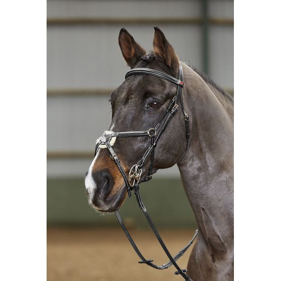 Whitaker Bp052 Valencia 5 Point Breastplate Havana Light Havana